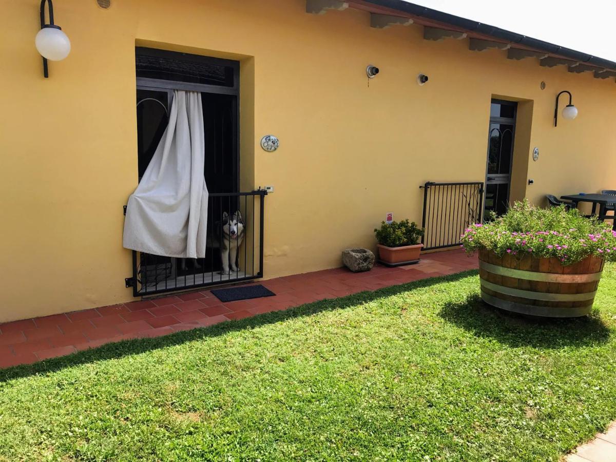Agriturismo Metina Acquaviva  Exterior photo