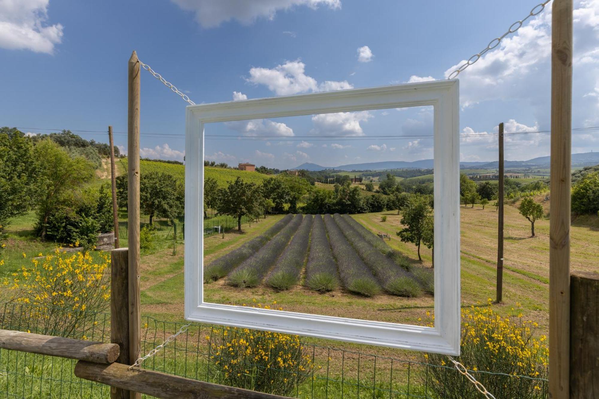 Agriturismo Metina Acquaviva  Exterior photo